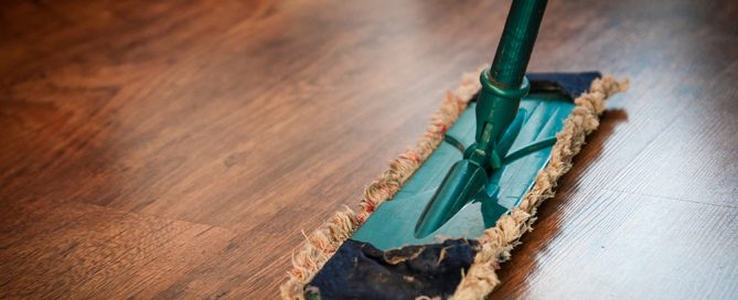 Non-toxic cleaning product
